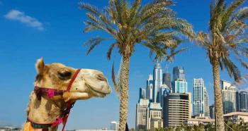 Разходи за виза в ОАЕ Работна виза за ОАЕ за руснаци