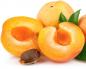 Körsbär för oss, pengar till dig: hur frukter från Tadzjikistan kommer till Ryssland Tadzjikisk frukt