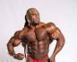 The biggest bodybuilders in the world - who are they?